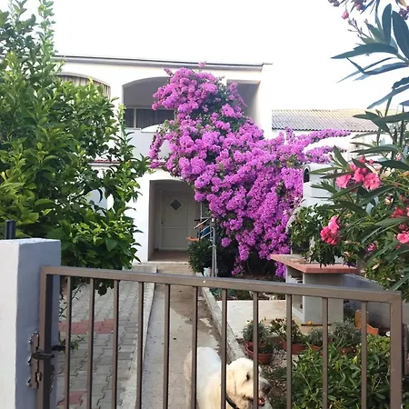 Lejlighed Flowers
