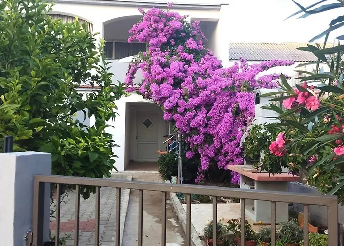 Apartment Flowers